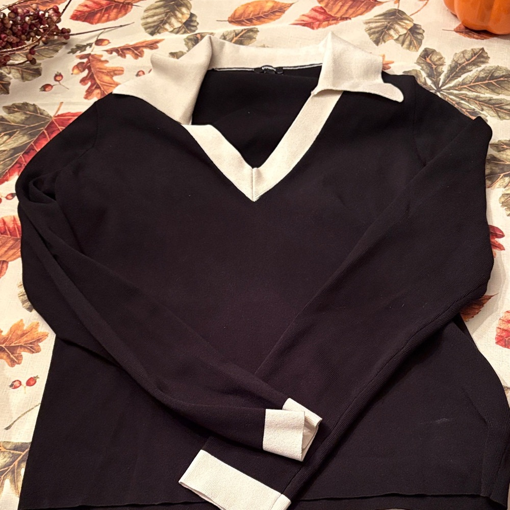 Express Black and Cream V-Neck Sweater